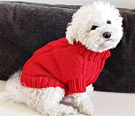 maglione fendi cane|Maglioncini per cani .